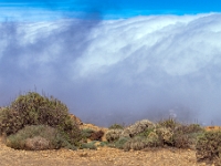 Mirador Roque Nublo